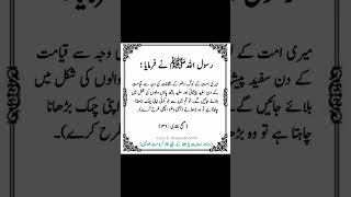 Rasola Allah far Maya Mari okay quotes urdu motivation sadpoetry islamicquotes [upl. by Enylorac]