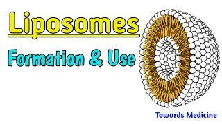 Liposomes  How liposomes are formed Use of Liposomes  Types of liposomes [upl. by Johnson]