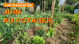 Les travaux de Juin au potager [upl. by Odelet]