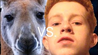 KID PUNCHES KANGAROO IN THE FACE This Doesnt End Well [upl. by Aneertak]