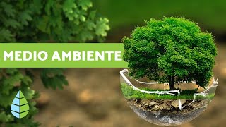 ¿QUÉ ES EL MEDIO AMBIENTE  Definición y resumen [upl. by Zanas]