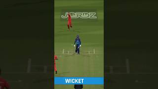 Dream Inswing from A Bowler 💀😱  Cricket 24 shorts youtubeshorts [upl. by Johen]