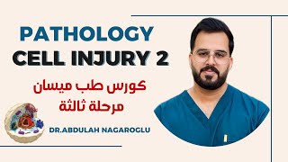 Pathology  cell injury 2  كورس باثو طب ميسان [upl. by Nyrad]