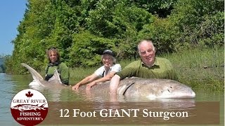 Great River Fishing White Sturgeon Fishing in the Fraser River Canyon [upl. by Lionel]