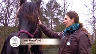 Javorový Sirup Chovanie Koní Slovenské Králiky [upl. by Yanad]