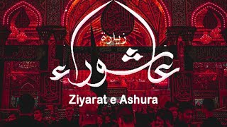 Ziyarat e Ashura زیارت عاشورا most beautiful recitation by Ali Fani AliFani زیارتعاشورا [upl. by Aicirtak]