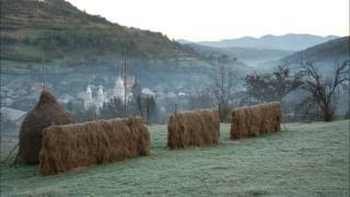 Muzica Maramures  Strigaturi  Ion Petreus Todereanu [upl. by Angele260]