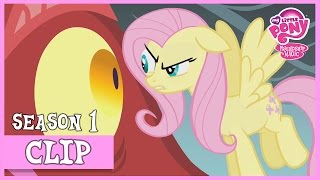 Fluttershy vs The Dragon Dragonshy  MLP FiM HD [upl. by Nosredna]