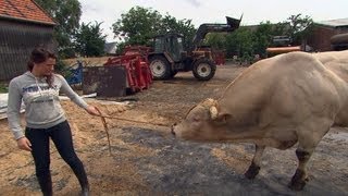 Mach mir den Hof Teil3  Bauerstochter auf Männerfang  SPIEGEL TV [upl. by Adnir]