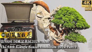 The 98th Kokufu Bonsai Exhibition 2024 Part2 Japanese Bonsai Ten 4K HDR [upl. by Rolanda]