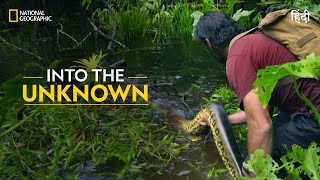 Into the Unknown  Primal Survivor  हिन्दी  National Geographic [upl. by Yttisahc]