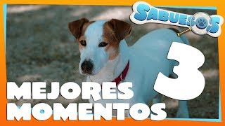 MEJORES MOMENTOS de SABUESOS  Capítulo 3 [upl. by Aieken831]