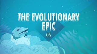 The Evolutionary Epic Crash Course Big History 5 [upl. by Delgado]