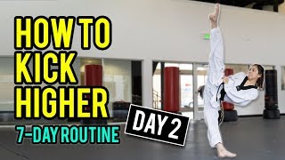 How to Kick Higher Stretches amp Drills Day 2 Routine [upl. by Elfrida727]