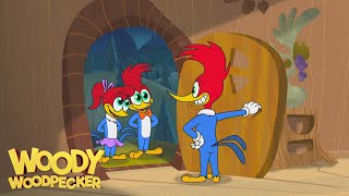 Woody Woodpecker Animated Compilation For Kids  WildBrain Max [upl. by Htiekel]