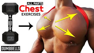 8 BEST CHEST EXERCISES WITH DUMBELLS ONLY 🎯 [upl. by Gnav]