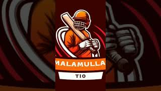 MALAMULLA T10  TEAMS  KSU  GD WU MF 🥎🏏 [upl. by Douty]