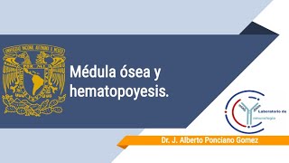 Curso de inmunología Sesión 1 Médula ósea y hematopoyesis [upl. by Oirram]