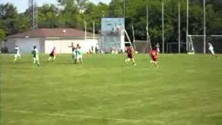 Chicago Parnells Gaelic Football Club [upl. by Fradin161]