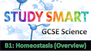 B1 Homeostasis Overview EDEXCELAQA [upl. by Ahseki]