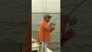 Wake Baits 101 How To Rig amp Catch Redfish And Speckled Trout On Them [upl. by Mehcanem802]