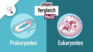 Havo 4  Evolutie  Basisstof 2 Prokaryoten [upl. by Noby]