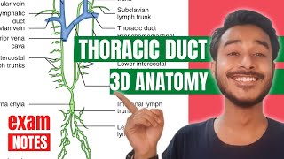 Thoracic Duct Anatomy In Hindi  Right Lymphatic Duct Anatomy  Thoracic Duct Tributaries Anatomy [upl. by Brynne]