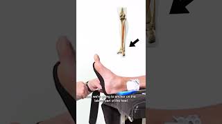 KT Tape Ankle Sprain Taping  Athletic Tape for Ankle Pain [upl. by Nnaeus]