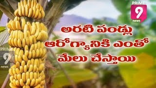 Climate Change May Hits Banana Cultivation in india Says Officials  Prime9 News [upl. by Hnahc]