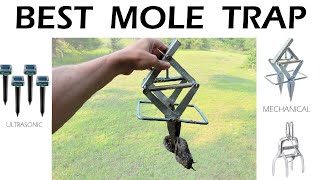 Best Mole Trap to Buy  Compare Top 3 [upl. by Sabra]