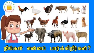 NEWDomestic Animals Kids Song What Do You See Song Animals Name and SoundsTamilarasi [upl. by Cogen]