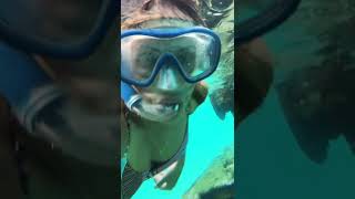 Snorkeling in San Blas Islands Panama [upl. by Assille]