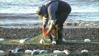 Set Net Salmon Fishing from Shore  Coffee Point near Egegik Alaska [upl. by Yablon540]