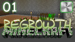 Minecraft Regrowth Modpack  Regrowth Lets Play  Ep 1  Getting Started in Regrowth [upl. by Carroll139]