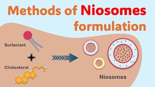 Mastering Niosomes Preparation Techniques  Methods of Niosomes preparation  Niosomes synthesis [upl. by Haonam]