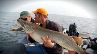 Monster Musky Eats Smallmouth  The Fish of a Lifetime [upl. by Nellac]