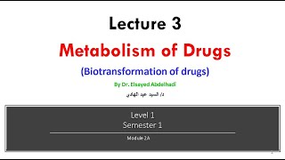 Lecture 3  Metabolism of Drugs Dr Elsayed Abdelhadi 2023  2024 [upl. by Niatsirt650]