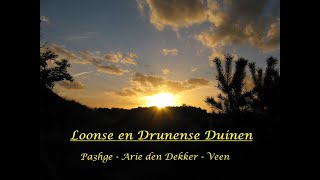 Arie den Dekker  Pa3hge  Veen  Drunen  Loonse en Drunense Duinen  AriedenDekker  Drunen [upl. by Riedel]