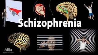 Schizophrenia Symptoms Cause Pathophysiology Diagnosis and Treatments Animation [upl. by Gnem]