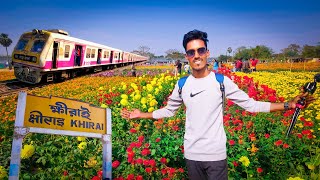 From কলকাতা to ক্ষীরাই  Discover the Magical Khirai Flower Garden [upl. by Ulysses11]