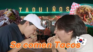 Cómo comen los Coreanos los tacos [upl. by Eceined]