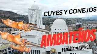 Cuyes y Conejos ASADOS  Ambateños Son los mejores del País [upl. by Lzeil738]