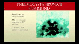 Approach to the patient with Pneumocystis pneumonia [upl. by Adrahc826]