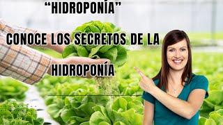 “Hidroponía” Conoce los secretos de la hidroponía hidroponía en Casa [upl. by Yk1]