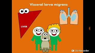 Visceral Larva Migrans Toxocara canis amp Toxocara cati اليرقات الحشوية المهاجرة [upl. by Cassie]