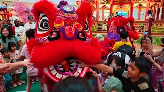 Malaysia Kwong Ngai 光艺  Acrobatic Lion Dance Championship  KSL Esplanade Mall [upl. by Gotcher]