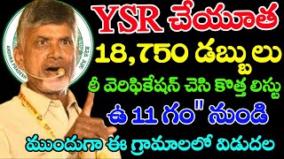 DBT పథకాలు రీఎంట్రీ YSR చేయూత 18750 ఈ 8 జిల్లాల్లో వారికిCheyutha payment staturYsr cheyutha2024 [upl. by Kenji]