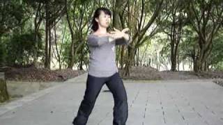 13 Forms of Taichi Taichi part 4 [upl. by Nehpets]