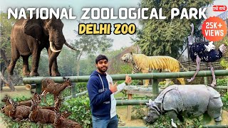 Delhi Zoo Full Tour amp Guide  National Zoological Park Delhi  Delhis Chidiya Ghar  VlogsWithSans [upl. by Curley]