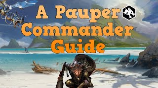 The Simple Guide For Pauper Commander [upl. by Avery]